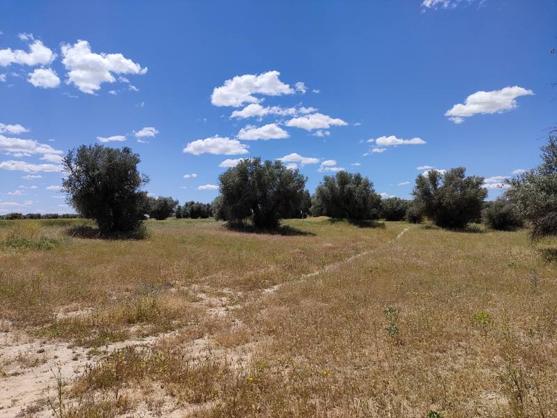 Terreno en CIEMPOZUELOS, Madrid