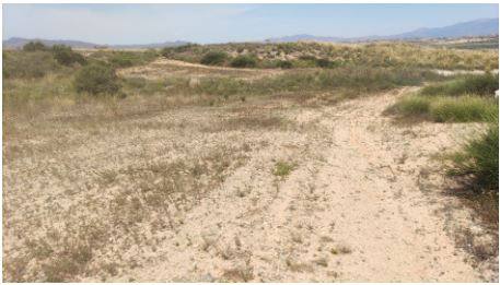 Terreno en MAZARRON, Murcia