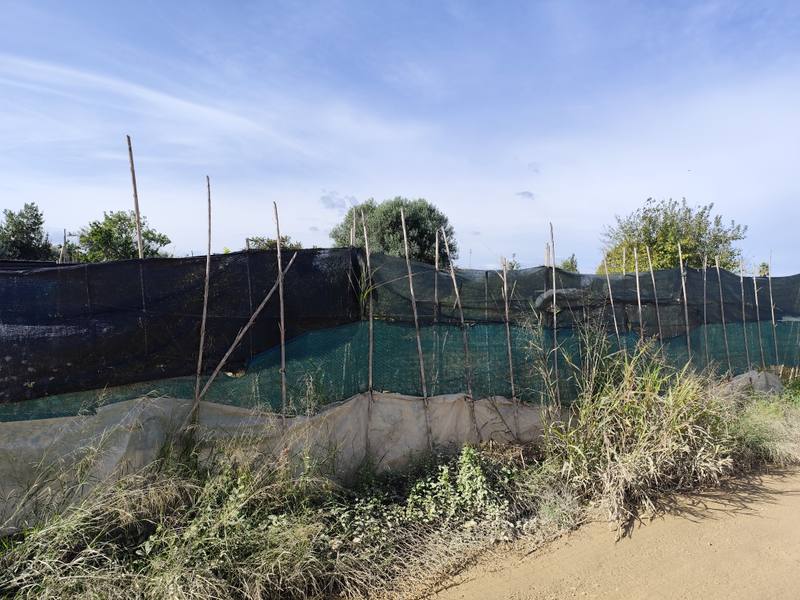 Terreno en PATERNA, Valencia