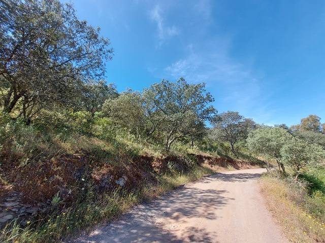 TN LOS BREZALES.POLIG.A 0, 41880 EL RONQUILLO