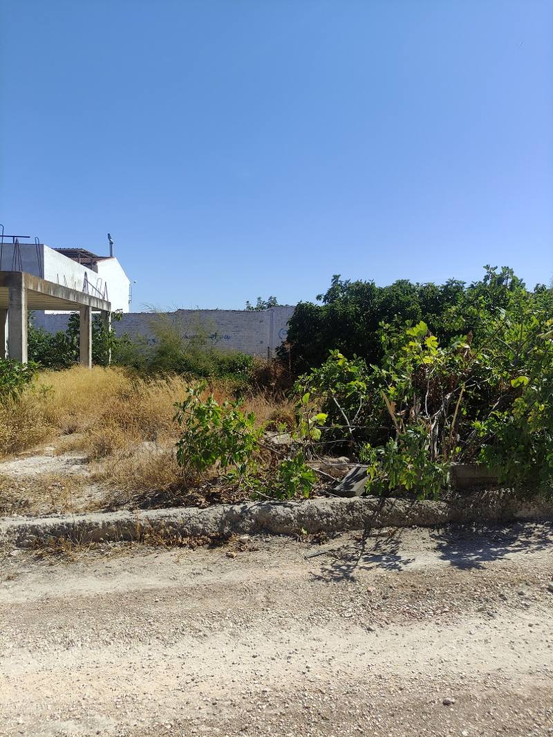 Finca rústica en ANDALUCIA, Sevilla
