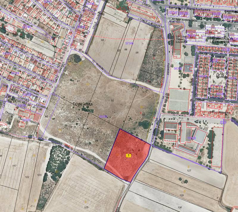 Terreno en FRONTERA, Cádiz