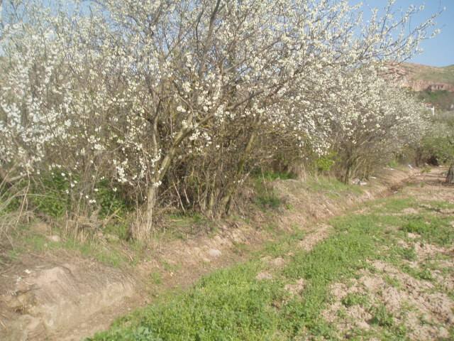 CL LEZAY 517, 26120 ALBELDA DE IREGUA