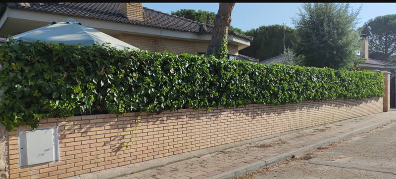 Vivienda en MARTIN, Valladolid