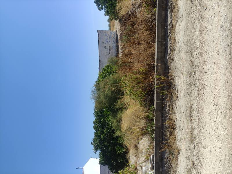 Finca rústica en ANDALUCIA, Sevilla