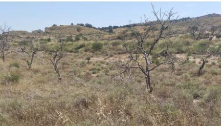 Terreno en MAZARRON, Murcia