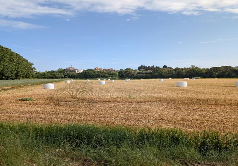 Terreno en TORDERA, Barcelona