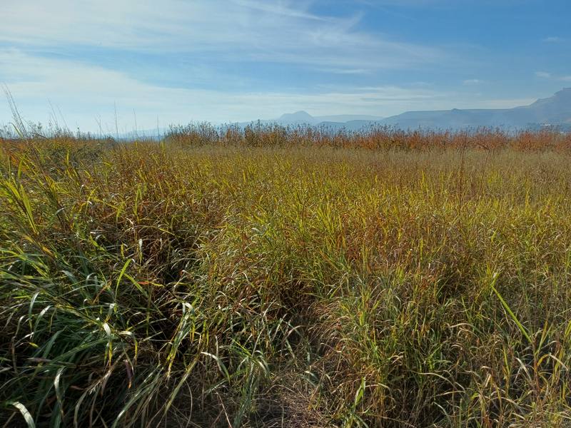 Terreno en MASSALCOREIG, Lleida