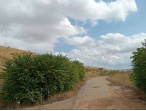 Finca rústica en TAJO, Toledo