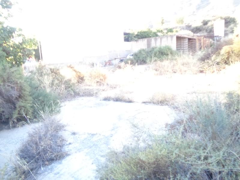 Thumbnail 22