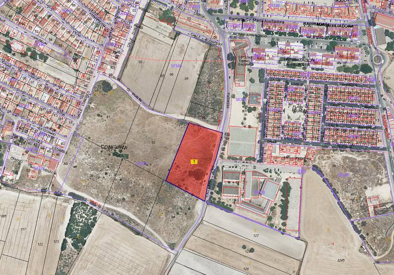 Terreno en FRONTERA, Cádiz