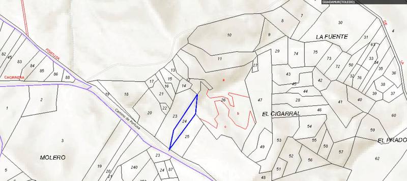 LG CAMINO DE PORTUSA 0, 45160 GUADAMUR