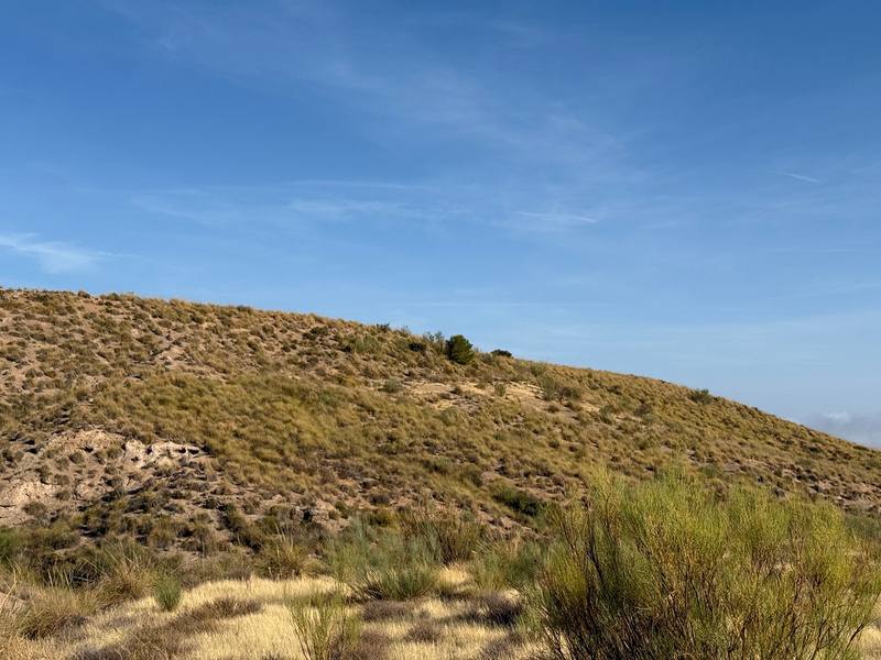 Terreno en FREILA, Granada