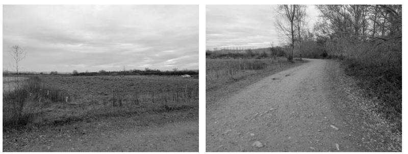 PA LAS VIGAS 0, 31580 LODOSA