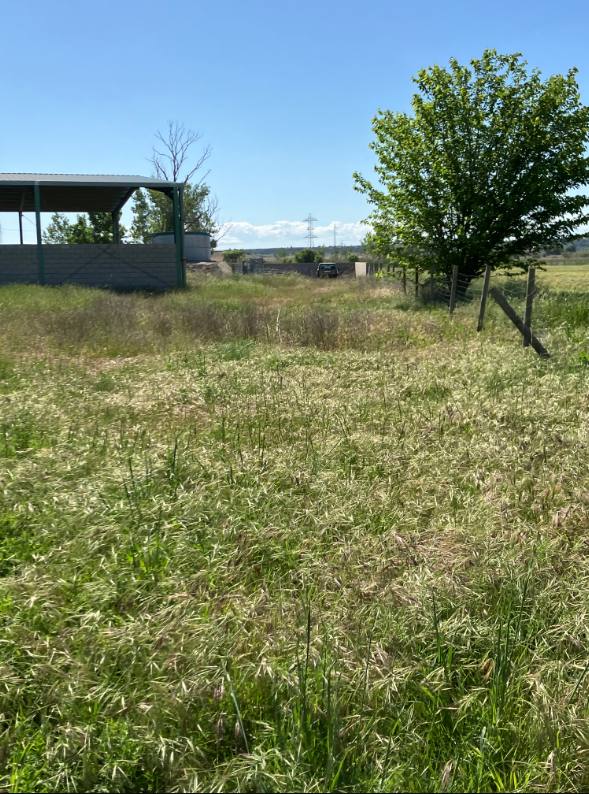 Terreno en (LA), Teruel