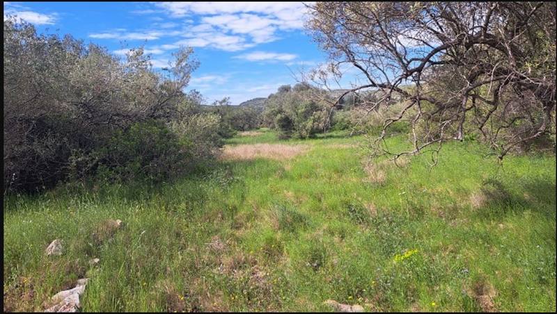 PD BALSA 0, 12578 CERVERA DEL MAESTRE