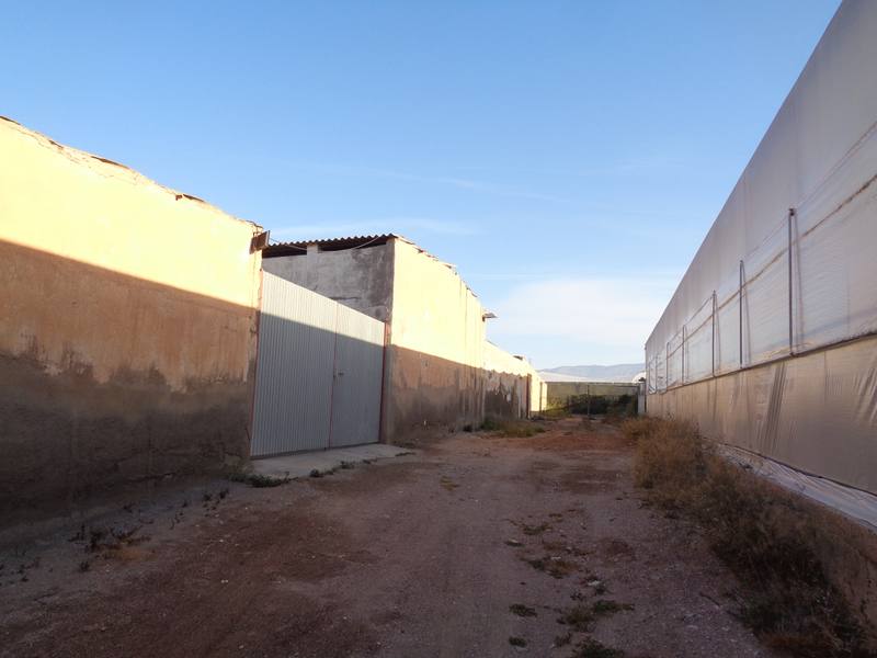 PA RAMBLA LECHUGA PLG 39 PA 96, 04130 ALMERIA