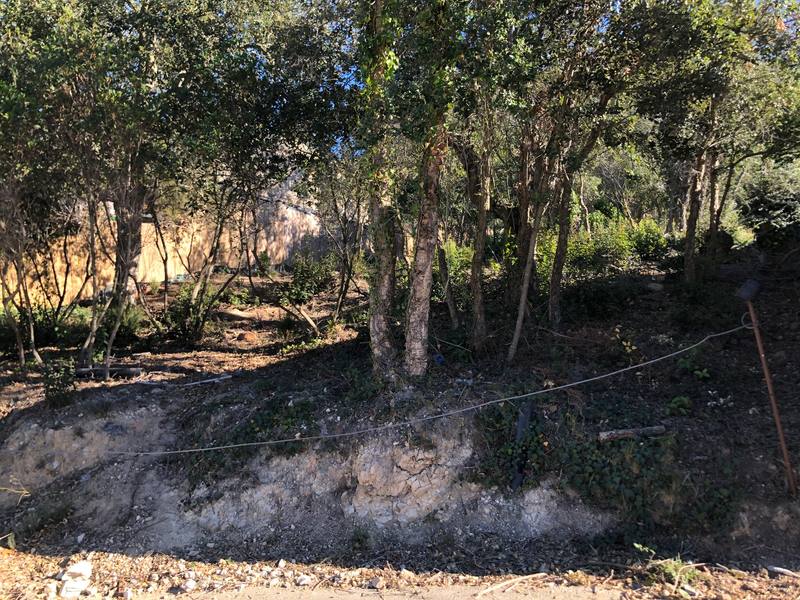 Finca rústica en LLAGOSTERA, Girona