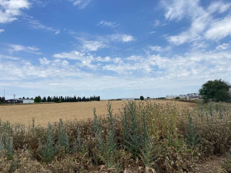 Finca rústica en OCAÑA, Toledo