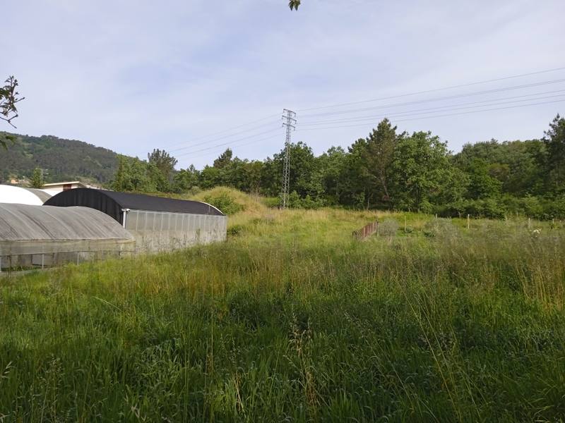 LG BELEIROS 0, 32593 OURENSE