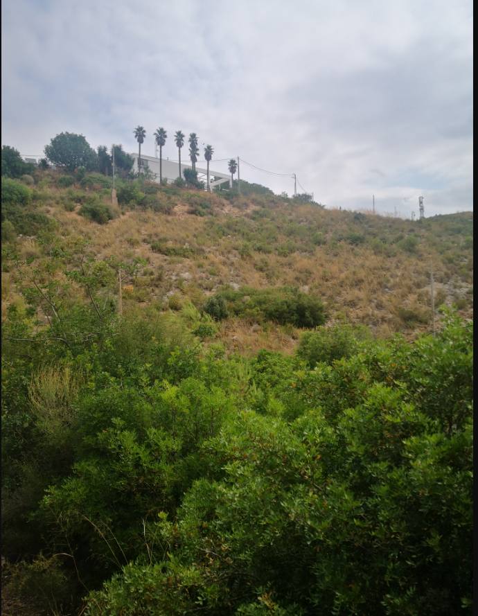 PD SANTO DOMINGO 0, 46370 CHIVA