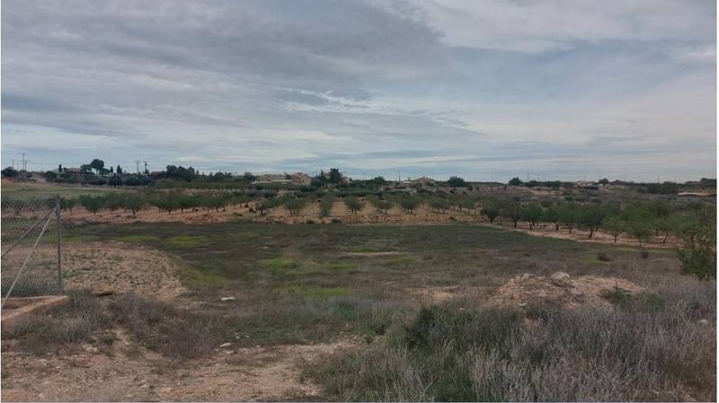 Terreno en MURCIA, Murcia
