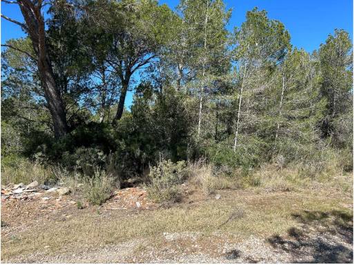 Terreno en CAMP, Tarragona