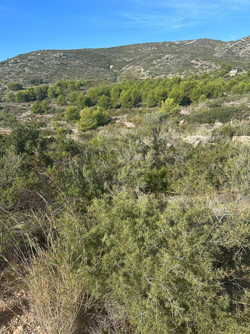Finca rústica en PEÑISCOLA, Castellón