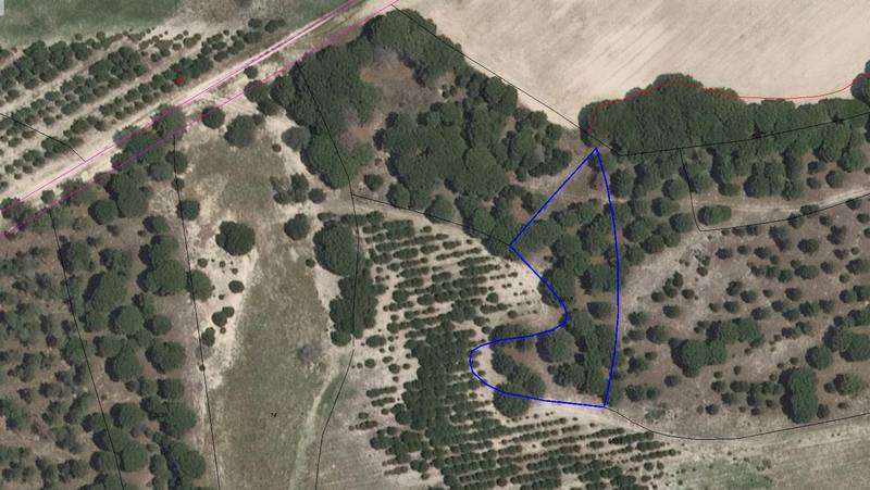 PJ NAVA DEL CONDE 0, 47452 ZARZA (LA)