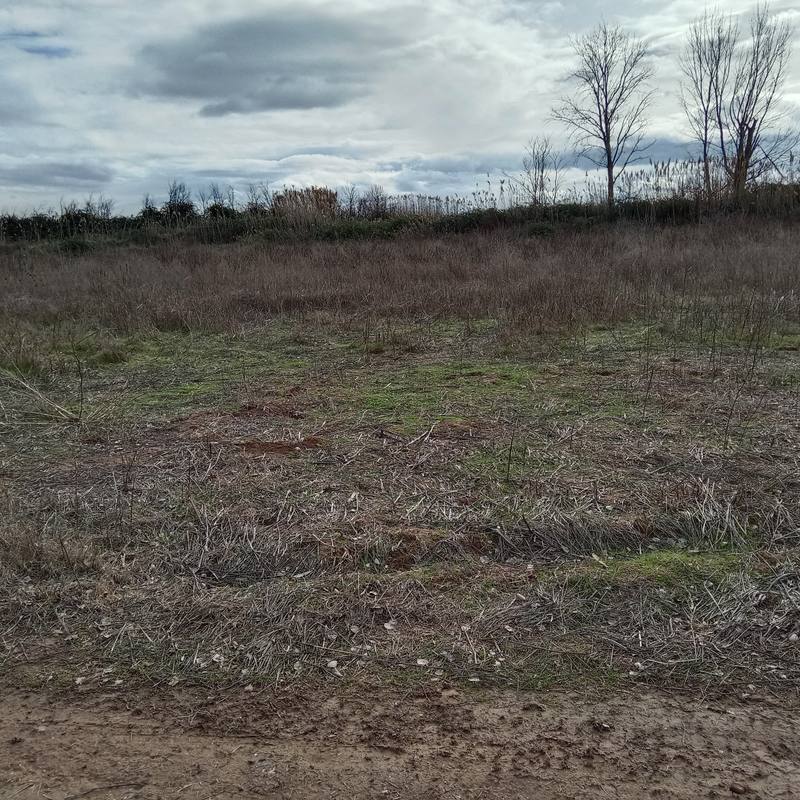 Terreno en ALAGON, Zaragoza