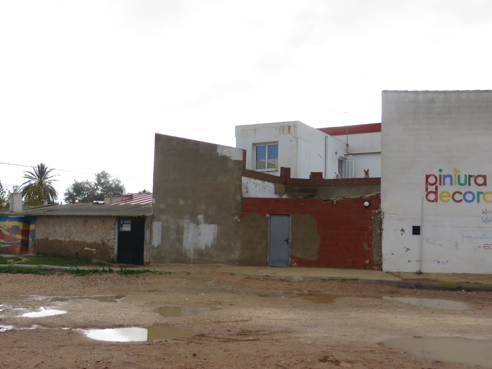Finca en Los Montesinos, Alicante/Alacant