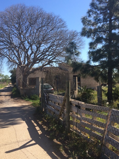Finca rústica en BINISSALEM, Illes Balears