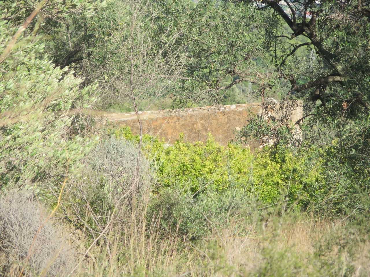 Finca rústica en PENÍSCOLA/PEÑÍSCOLA, Castellón/Castelló