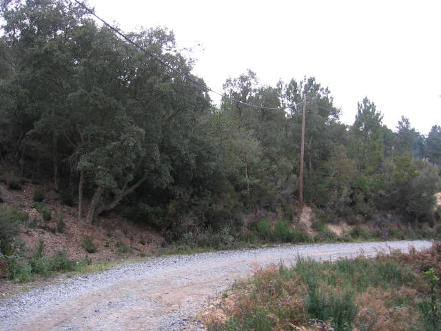 Terreno en LLAGOSTERA, Girona