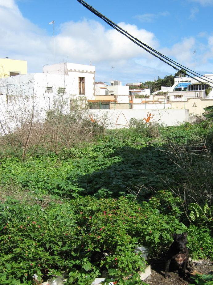 Terreno en LAS PALMAS DE GRAN CANARIA, Las Palmas