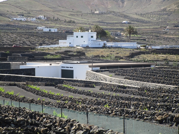 Finca rústica en San Bartolomé, Las Palmas