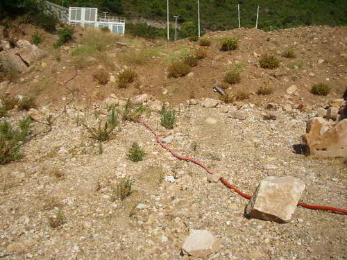 Terreno en OJEN, Málaga