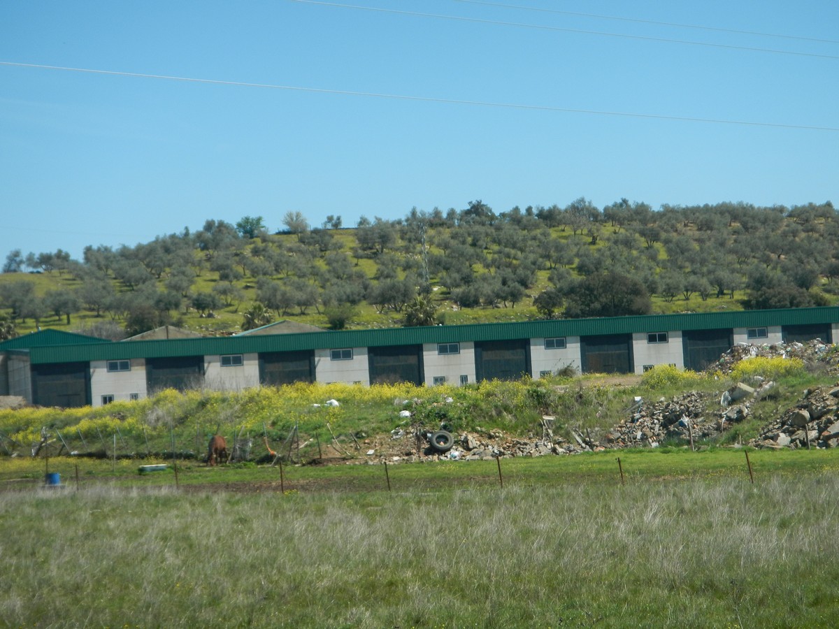 Terreno en ALANIS, Sevilla