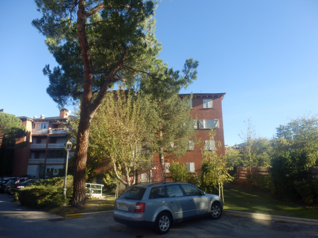 Vivienda en SAN ILDEFONSO O LA GRANJA, Segovia