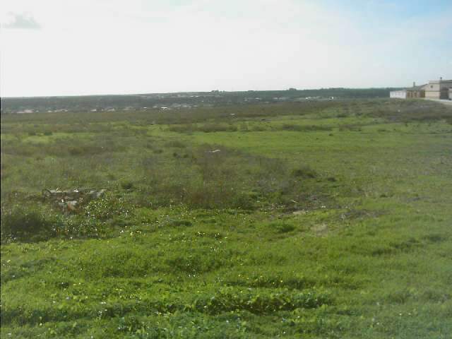 Finca rústica en CHICLANA DE LA FRONTERA, Cádiz
