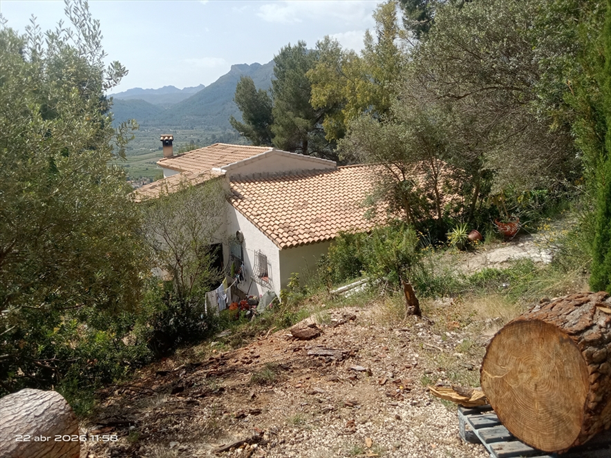 Finca rústica en ALCALALÍ, Alicante/Alacant