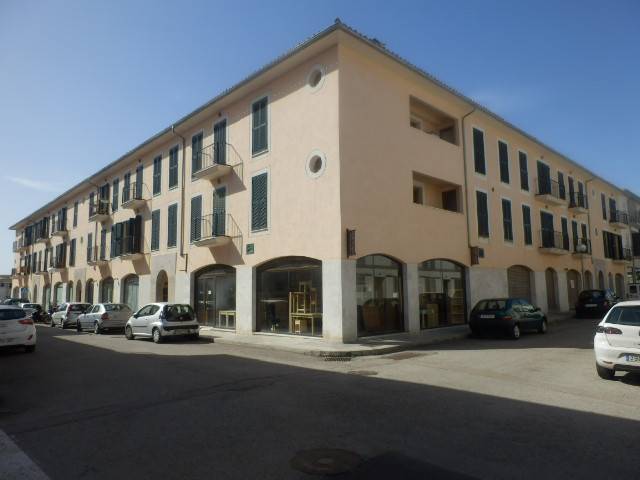 FINCA 8984, del Municipio de Binissalem, Tomo 3866, Libro 228, Folio 89