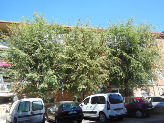 Vivienda en AZUQUECA DE HENARES, Guadalajara
