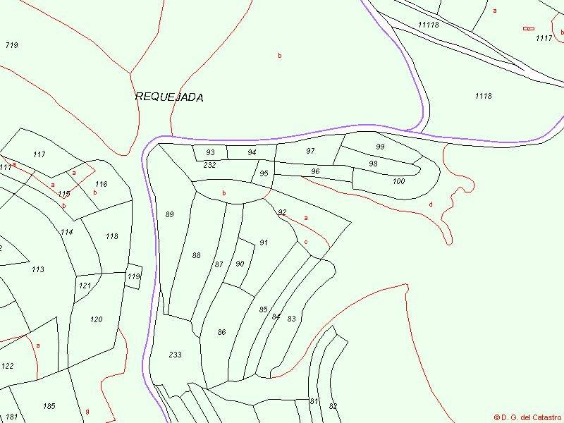 50% DEL PLENO DOMINIO DE LA FINCA: RUSTICA: POLIGONO 918 PARCELA 92, COUSO DEL CAMIN, VEGA DE ESPINAREDA (LEON). TIENE UNA SUPERFICIE GRAFICA DE 2.084 METROS CUADRADOS. TIENE 3 SUBPARCELAS: A: MM PINAR MADERABLE 970M2, B: FC CASTAÑAR 705M2, C: MB MON