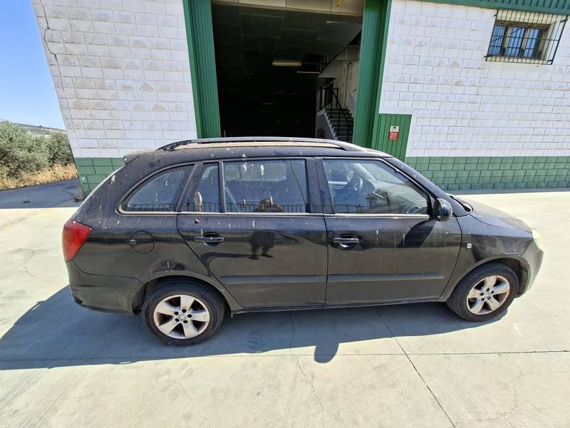 SKODA FABIA 2010 (0919GTV)